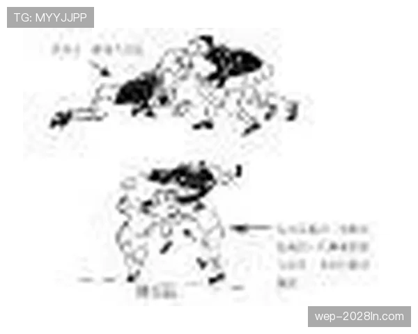 争球规则：判定身体接触犯规的关键条件