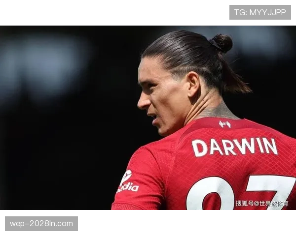 努涅斯身价是否虚高？数据表现与实战影响力的落差解析